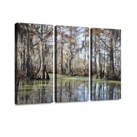 HABEN ARTWORK Bayou in New Orleans Cypress Tree Swamp Print On Canvas Wall Artwork Modern Photography Home Decor Unique Pattern Stretched and Framed 3 Piece