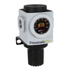 PneumaticPlus PPR3-N02BG Compressed Air Pressure Regulator, 1/4" NPT (High Flow),