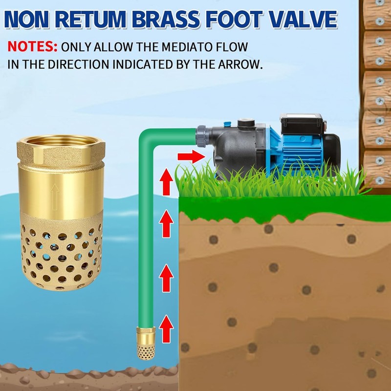 Brass Foot Valve 3/4 inch NPT Heavy Duty Spring Mesh