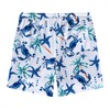 Aueyan Boys Compression Swim Shorts Tropical Board Shorts Teens Boy