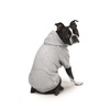 Zack & Zoey Basic Hoodie for Dogs, 8" X-Small, Heather