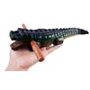 Guiro music percussion instruments wooden sound block animal croaking Alligator