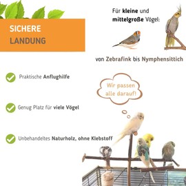 Vogelgaleria® Cage antenna, cool bird toy as landing perch or seat made of natural wood