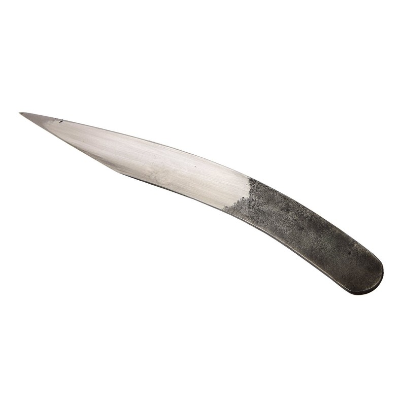 高儀 村国 接木 Cutting