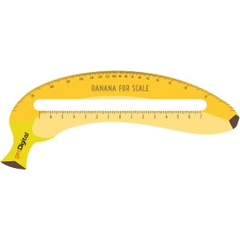 Banana for Scale Ruler