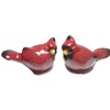 Pinecone Cardinal Salt and Pepper Shaker