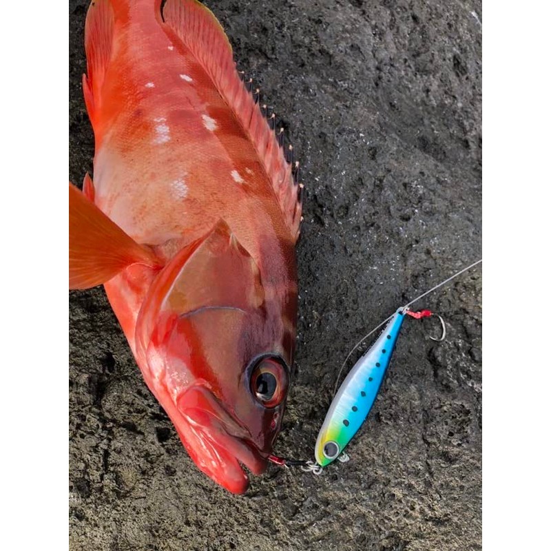 Nature Boys SwichRiderZn Switchrider Zn40g Red Gold Cross Glow
