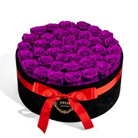 Otuo 40 Real Preserved Roses in Suede Box Forever Roses Last Up to 3 Years, Flowers for Delivery Prime, Mother’s Day, Birthday, Christmas - Purple