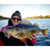 LMAB Drunk Bait 8, 12, 16 & 20 cm –