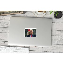 StickerManiac NEW -  Peanut Squirrel Lover AI - MAGA Trump 2024 Sticker -- 3.5 x 2.5 INCHES - 3.5 x 2.5 INCHES (Holographic)