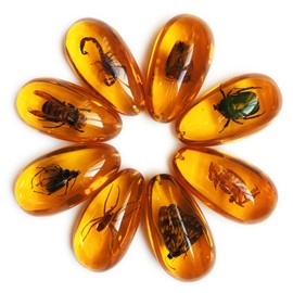 Western Eagle Workshop Large-Size 8-Piece Set: Insect Specimens Encased in Amber-Colored Resin, Oval Pendants for Home Decor - Ideal for Science Education and Entomology Enthusiasts.