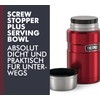 Thermos Stainless King Food Jar
