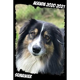 agenda chien 2020 2021 Semainier: Agenda Scolaire | Familial | Travail | Idéal pour la Rentrèe Scolaire | A5 | Thème Berger Australien