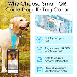 ADVENTUREMORE Smart ID Tag QR Code Nylon Dog Collar - Prevents Small, Medium, Large Dogs from Getting Lost at Night, Displays Owner and Pet Details - Durable, Adjustable, Thick-Teal-Medium