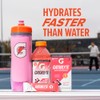 Gatorlyte Powder Variety Pack