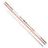 Daiwa Canne Surf Shorecast X Surf 33 423-4.2m - 503g