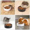 2 Pack Ceramic Bowls for Syrian Hamster & Hedgehog, 3.9"