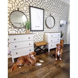 Tea House Trellis Allover Stencil - Large Stencils for Painting Walls – Try Stencils Instead of Wallpaper – Modern Stencils for Wall Painting – Stencil Designs for DIY Home Décor – Best Stencils