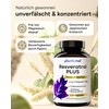 Trans Resveratrol Capsules 1350mg - 120x Resveratrol High Dose -