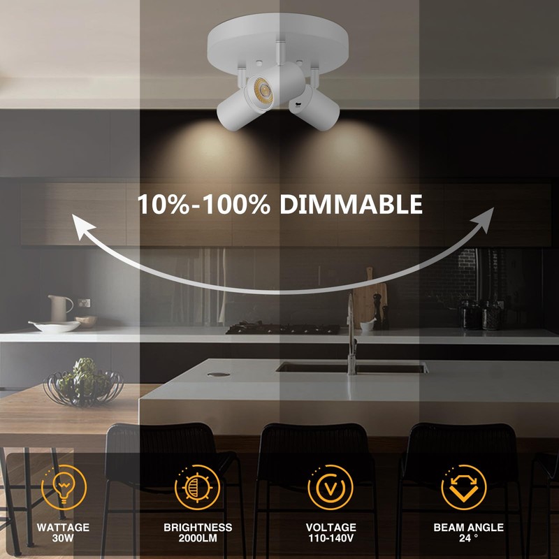 VANoopee 5 Color 3 Light LED Ceiling Spot Light Indoor