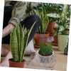 BESPORTBLE 10pcs Orchid Pots Drainage Holes Flower for and Cactus