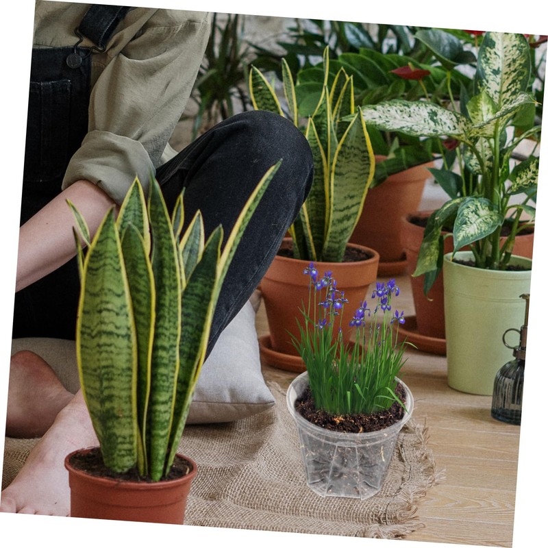BESPORTBLE 10pcs Orchid Pots Drainage Holes Flower for and Cactus