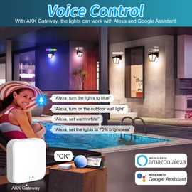 AKK Gateway, Tuya Bluetooth Hub for use with AKK Smart Porch Lights, Work with Smart Life APP and Tuya Smart APP for Remote Control, Voice Control via Alexa & Google Assistant, Works with 2.4GHz Wi-Fi