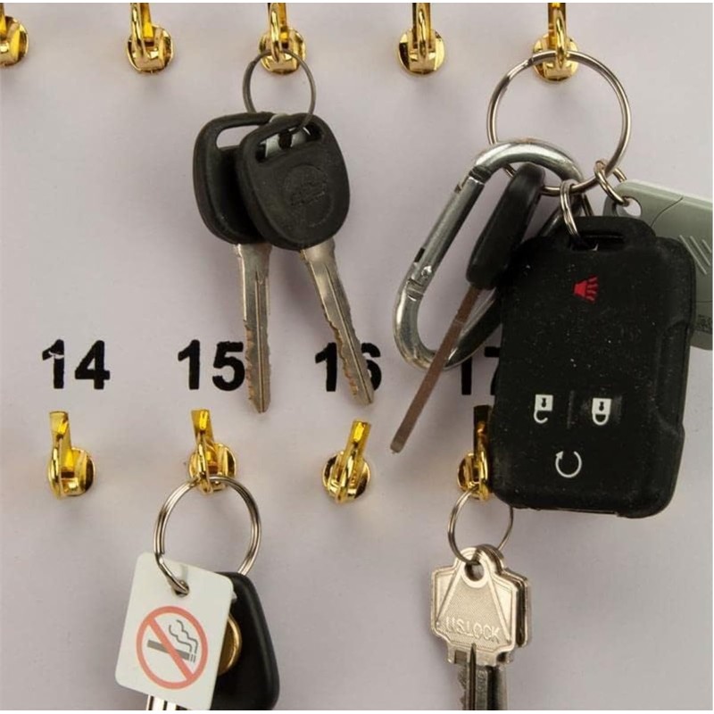 CGP Products 38 Hook Key Holder Wall Mount for Office,