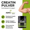 alphavitalis Creatine Monohydrate Powder 500g (mesh factor 200) - microfine