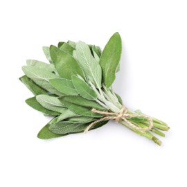 TKE Farms & Gardens - Sage Seeds for Planting - 120+ Heirloom Non-GMO Sage Seeds, Ideal for Indoor & Outdoor Gardens, Great for House Plant Seeds, Salvia officinalis, Includes Growing Instruction