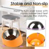 SuperDesign Mess Free 15° Slanted Bowl for Dogs and Cats,