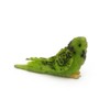 MyTinyWorld Dolls House Miniature Air Dried Clay Green Budgie