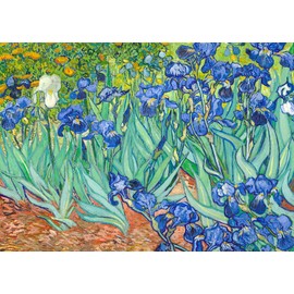 1000 Piece Puzzles for Adults Iris Puzzle 1000 Pieces Vincent Van Gogh Gallery Puzzles for Adults Puzzle Famous Painting 1000 Pieces Puzzle Puzzle