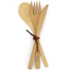 Biome Bamboo Cutlery Set with Case - 3 piece