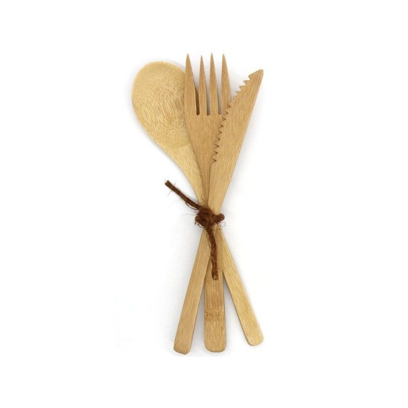 Biome Bamboo Cutlery Set with Case - 3 piece