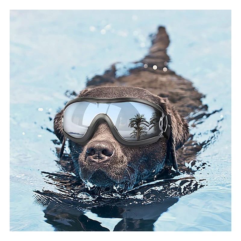 Pet Goggles, Dog Sunglasses, For Medium and Large Dogs, UV