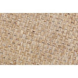 TAPISO Verano Indoor and Outdoor Rug Weatherproof – Beige Flatweave Rug, Sisal Look – Ideal for Balcony, Patio, Living Room & Kitchen – Oeko-Tex, Easy Care, 60 x 100 cm