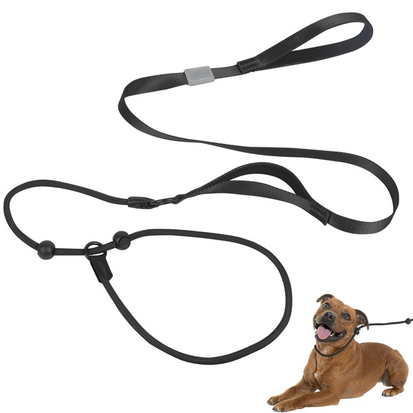 Slip Lead for Dogs with Dual Control Handles, Dog Leash