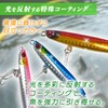 eeldog Metal Jig 5 Color Set with Case (20g)
