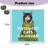 2025 calendar, cat calendar 2025 Pissed-Off Cats Calendar, Funny Cat