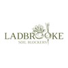 Ladbrooke Genuine Soil Block Maker - Mini 5 Hand Held,