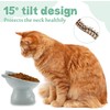 3pcs Elevated cat bowls，Raised Cat Feeding Bowls with Stand，Anti Vomit