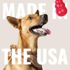 Kong Kong Stuff-A-Ball Dog Toy - Small, Red, Pack of