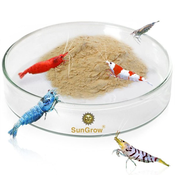 SunGrow Tough Borosilicate Glass Shrimp & Gecko Feed Dish, Wide