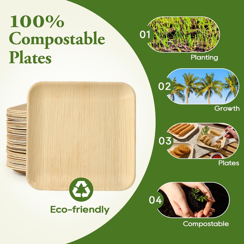 ECOLipak 10 Inch Compostable Palm Leaf Plate Like Bamboo Plate,