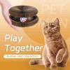 Yangmu 2 PCS Kitty Kurlz Cat Toy Magic Organ Cat