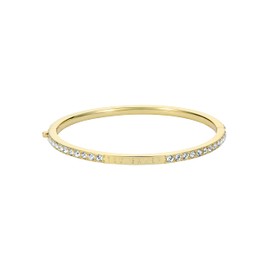 Ted Baker Claudia Narrow Crystal Hinged Bangle Bracelet for Women (Gold/Crystal)