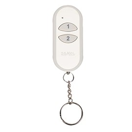 Extra Free 2-Channel Transmitter 1 P 257/Pack of 2