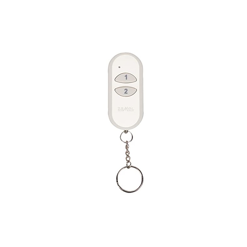 Extra Free 2-Channel Transmitter 1 P 257/Pack of 2