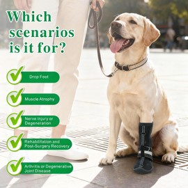 Idepet Dog Drop Foot Brace Strap On (No Knuckling Boot Brace) — Dog Boot Leg Braces for Leg Support, Dog Shoes Lift Toes for Foot Issues, Arthritis, Pet Corrector for Dogs 6